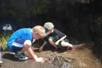 DSC_0075 (Large).JPG